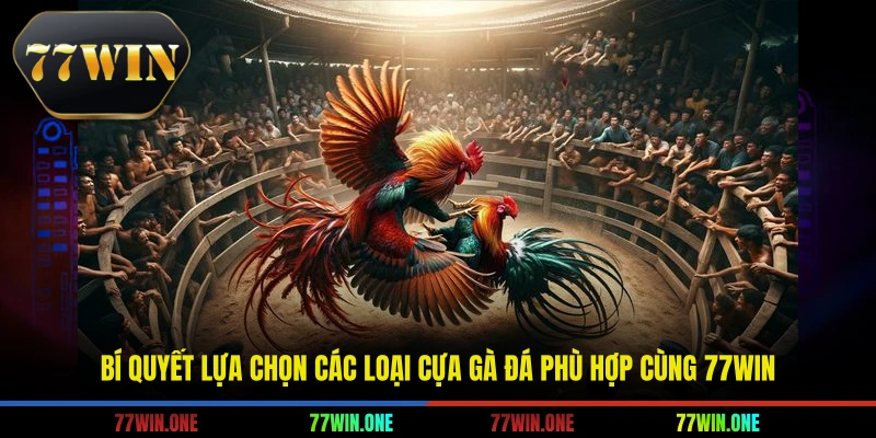các loại cựa gà đá