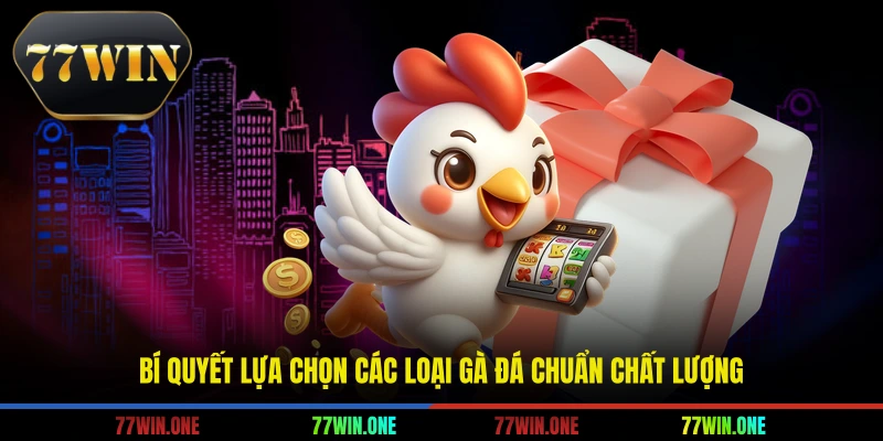 Bí quyết lựa chọn các loại gà đá chuẩn chất lượng