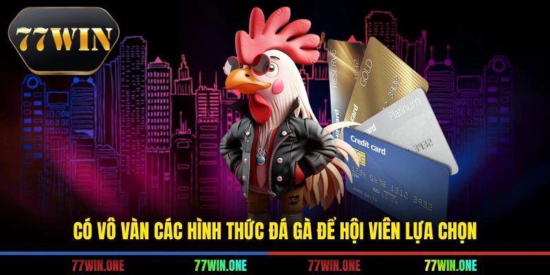 Có vô vàn các hình thức đá gà để hội viên lựa chọn