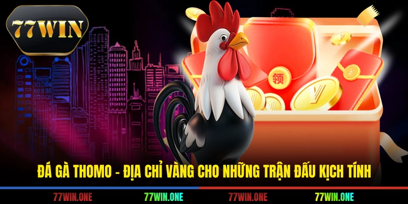 Đá gà Thomo