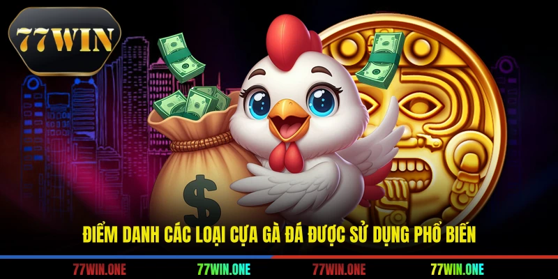 Điểm danh các loại cựa gà đá được sử dụng phổ biến