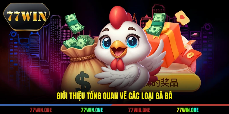 Giới thiệu tổng quan về các loại gà đá