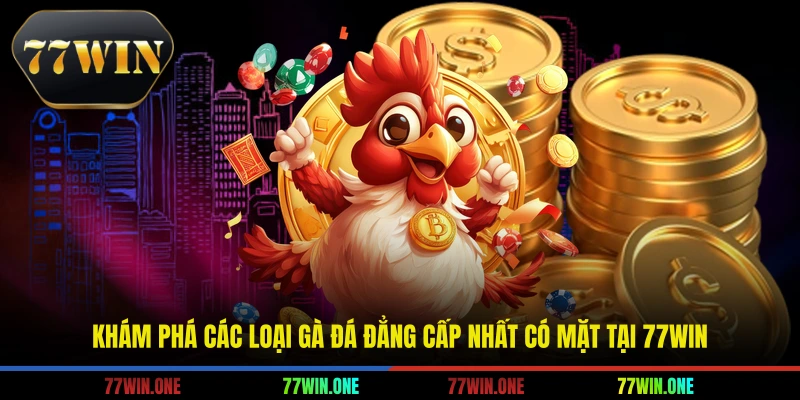 các loại gà đá