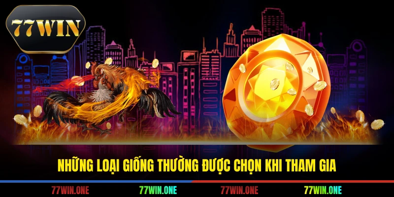 Những loại giống thường được chọn khi tham gia