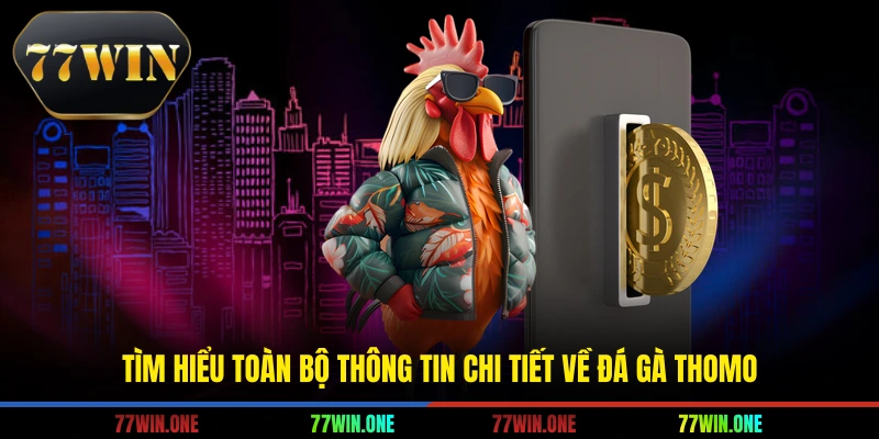 Tìm hiểu toàn bộ thông tin chi tiết về đá gà Thomo