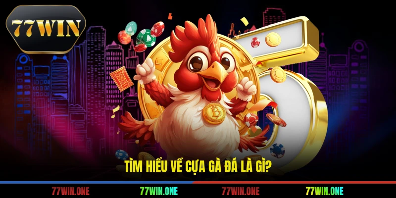 Tìm hiểu về cựa gà đá là gì?