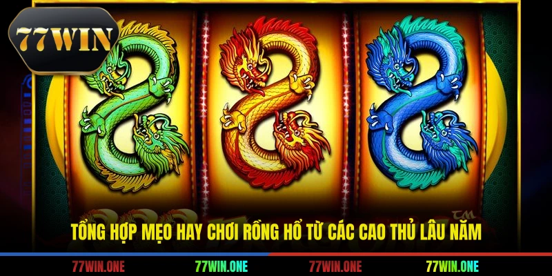 Tổng hợp mẹo hay chơi rồng hổ từ các cao thủ lâu năm